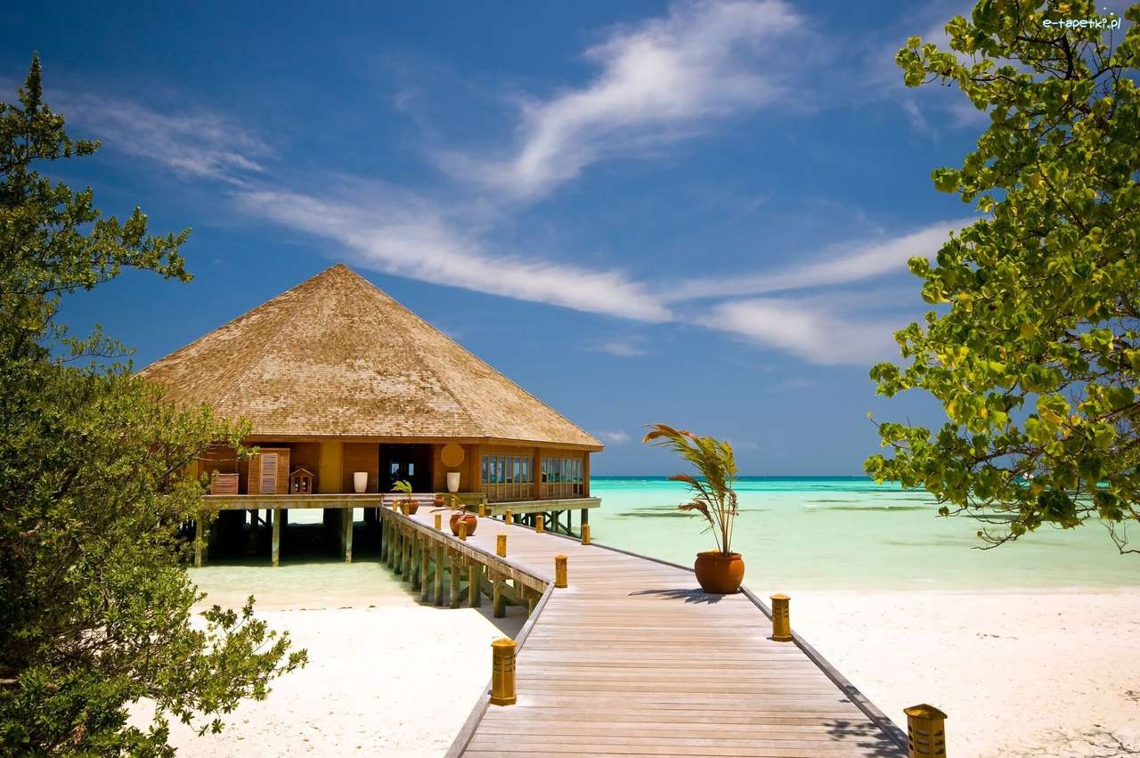 Casa de vacaciones en la playa en los trópicos. rompecabezas en línea