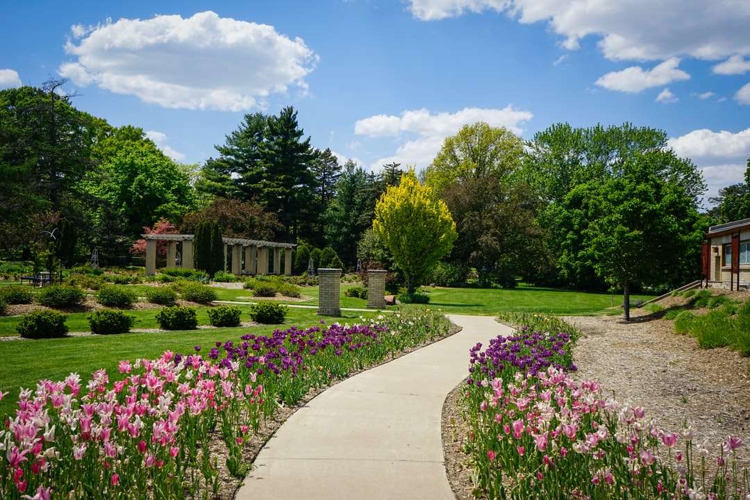 Campo de grama verde com flores cor de rosa e árvores verdes puzzle online