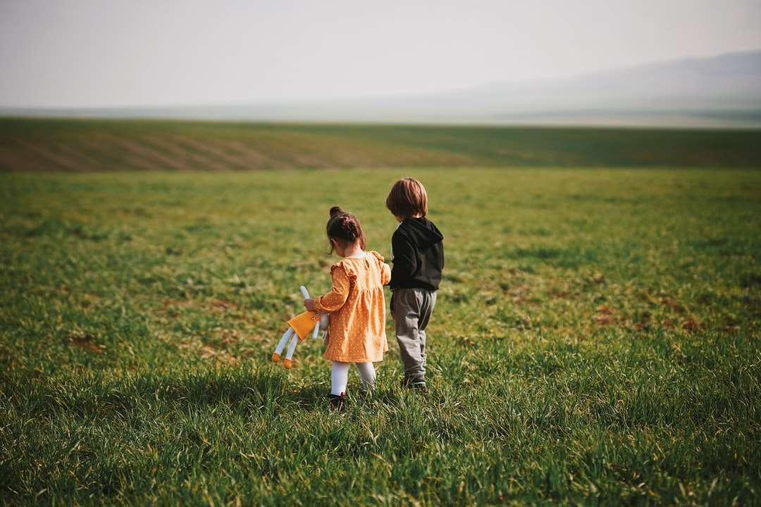 Fiú és lány, aki a zöld fűmezőn sétál napközben online puzzle