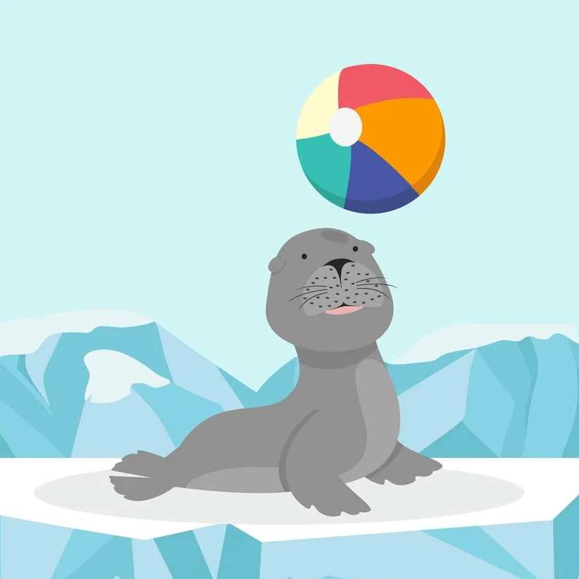 Seal with ball online puzzle