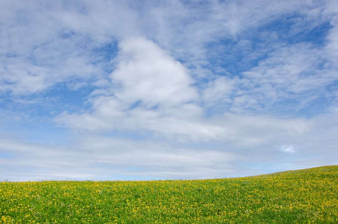 Зелено тревно поле под бели облаци и синьо небе онлайн пъзел