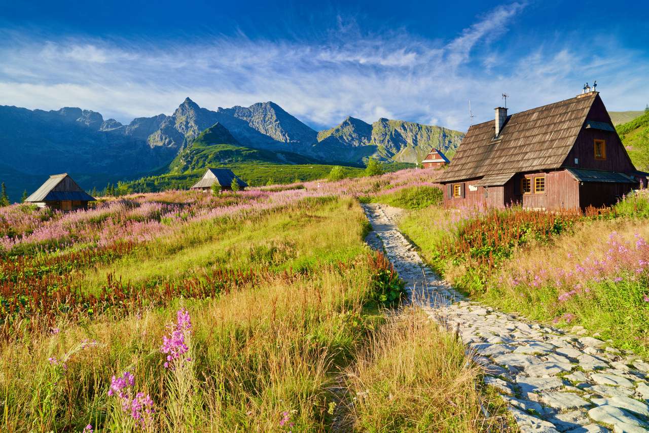 Долината на Gąsienicowa в Татри онлайн пъзел
