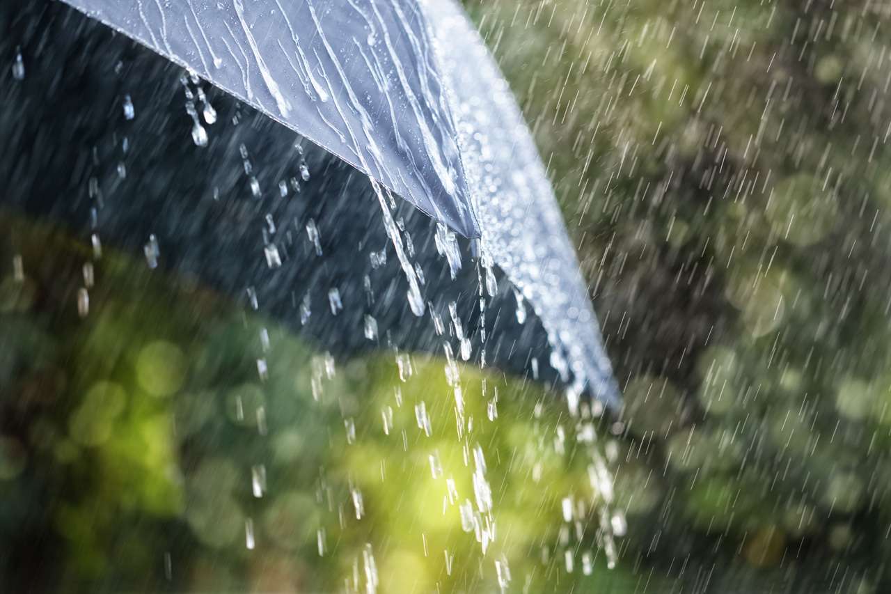 Paraguas durante la lluvia rompecabezas en línea