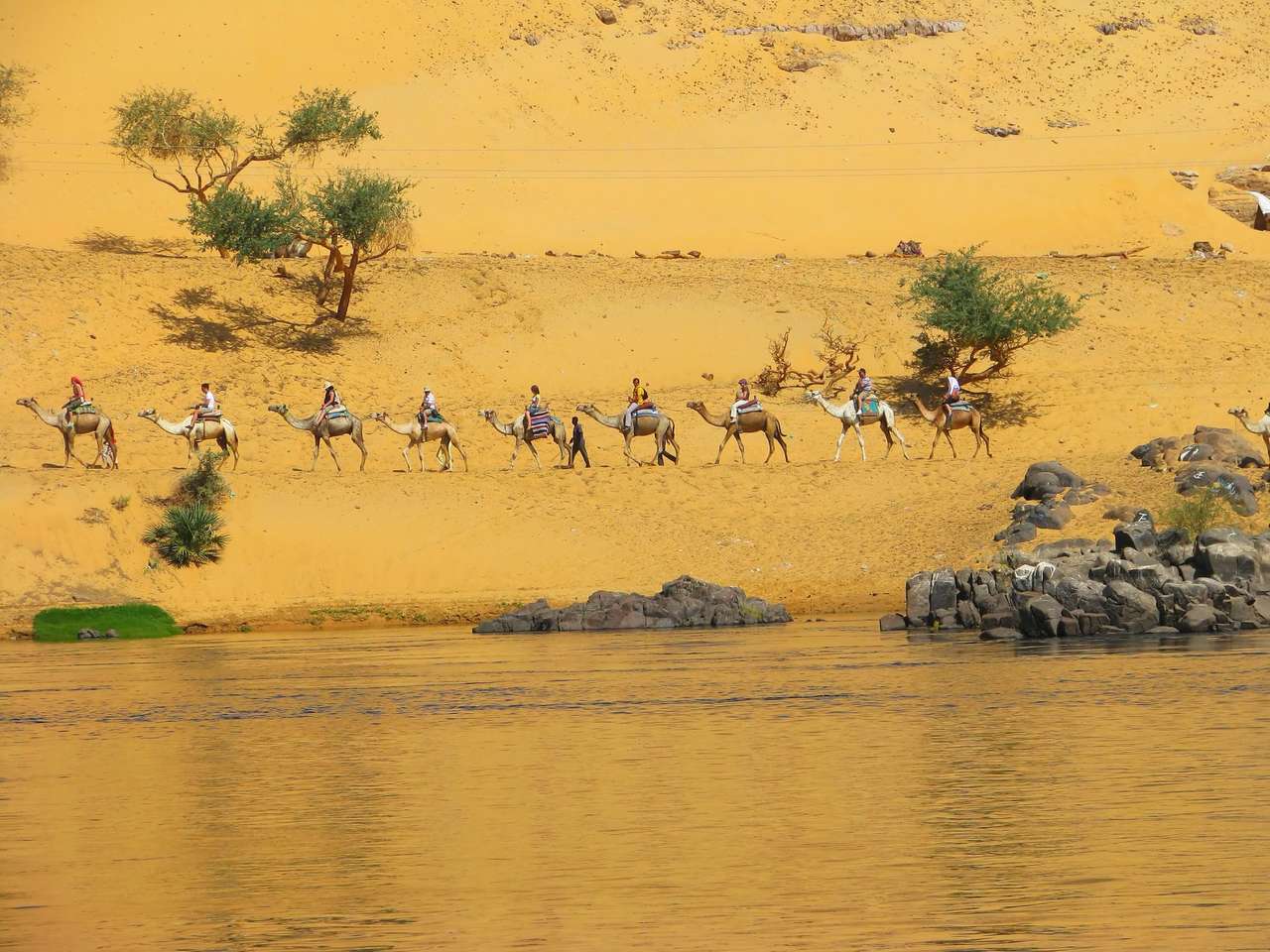Camellos de caravana sobre nilem rompecabezas en línea