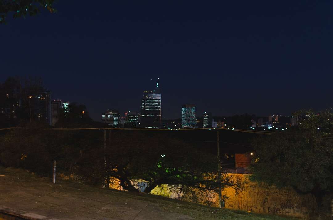 skyline van de stad tijdens de nacht legpuzzel online