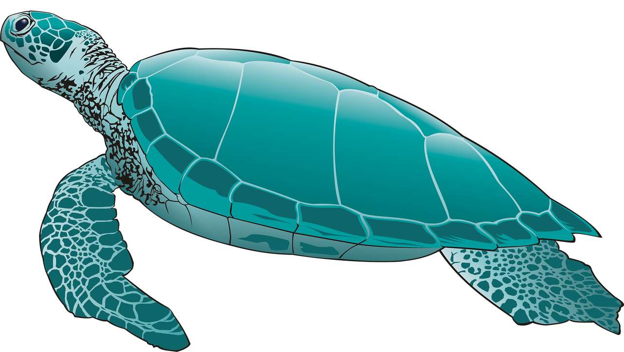 Havssköldpadda Pussel online