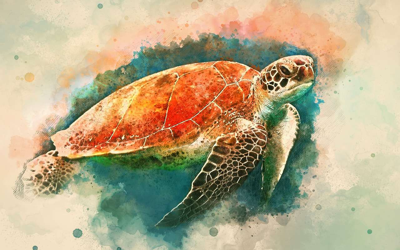 Водна костенурка онлайн пъзел