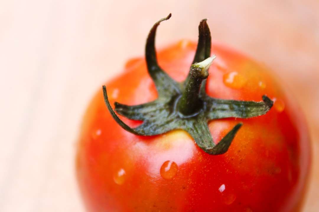 Röd tomat på vit yta Pussel online