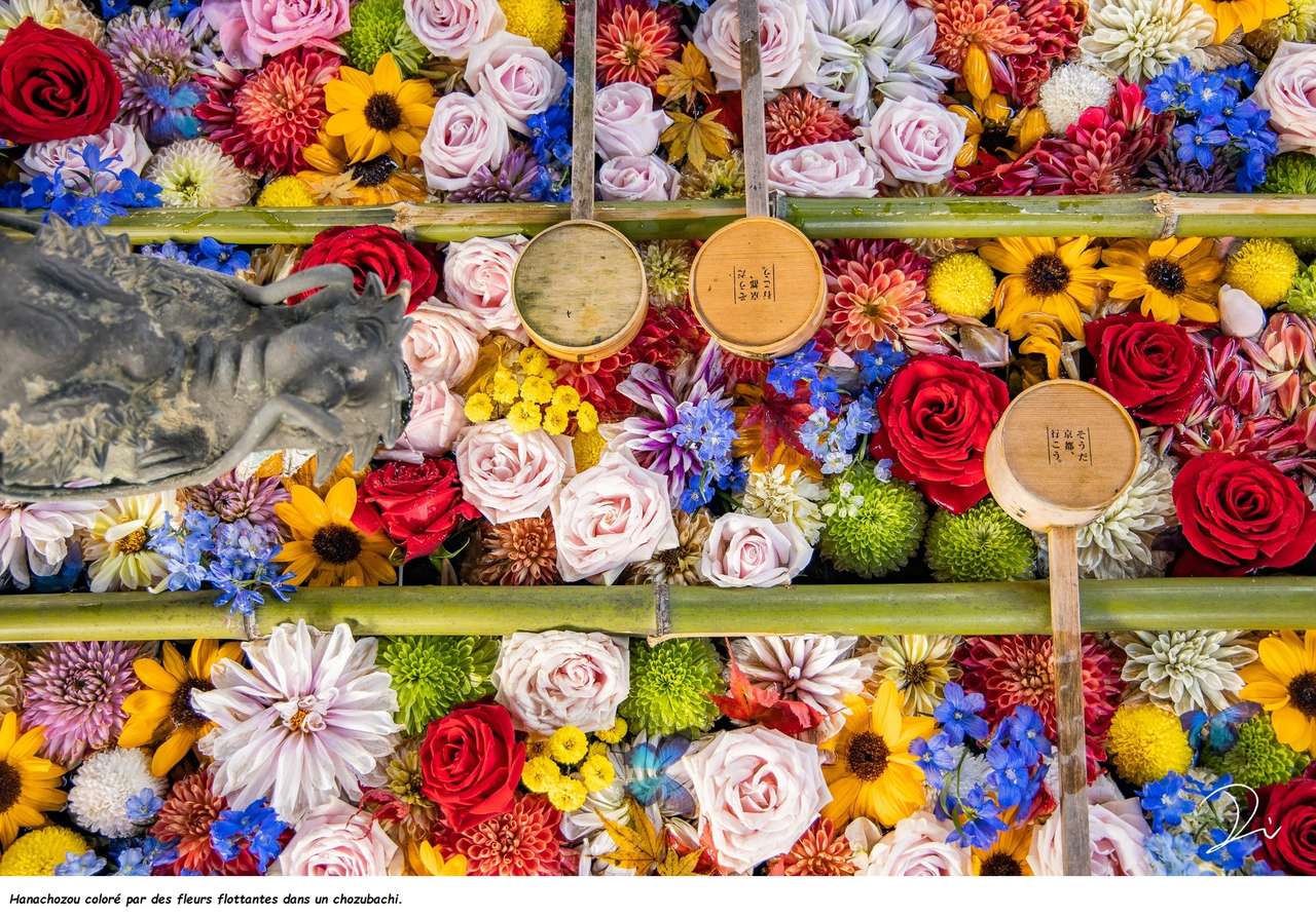 Flores flutuantes quebra-cabeças online