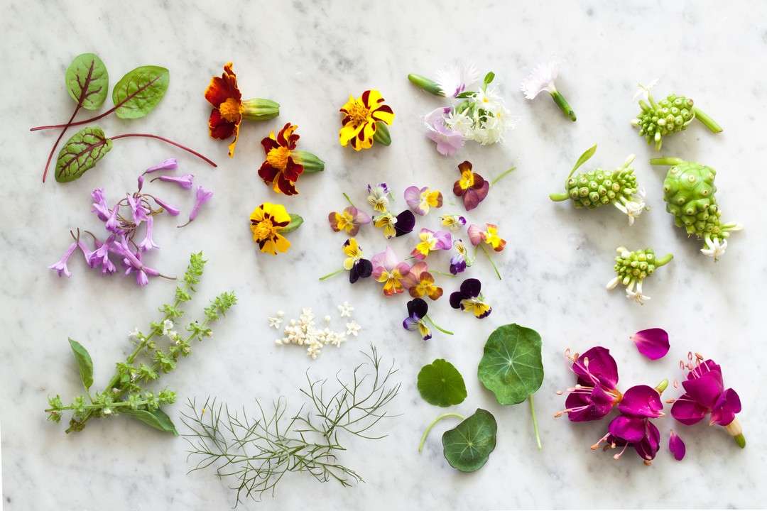 Избрани ядливи цветя онлайн пъзел