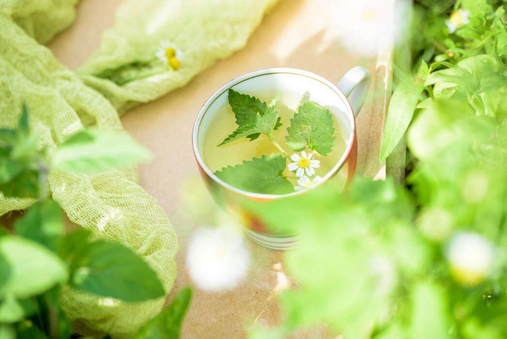 Chá misturado de lemongrass quebra-cabeças online