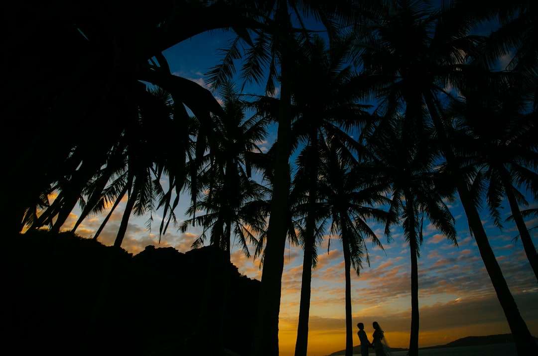 Silhouette von 2 Personen, die auf Strandufer während des Sonnenuntergangs stehen Online-Puzzle