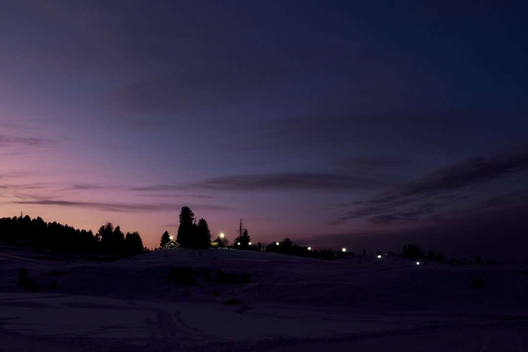 Silhouette de personnes sur le champ couvert de neige pendant la nuit puzzle en ligne