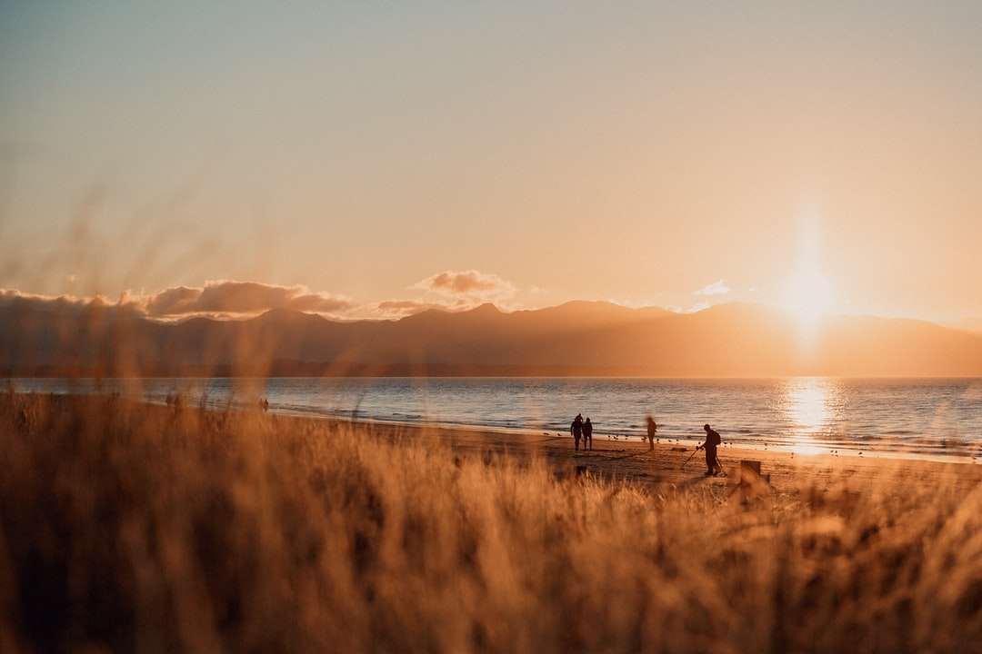 silueta lidí na pláži při západu slunce online puzzle