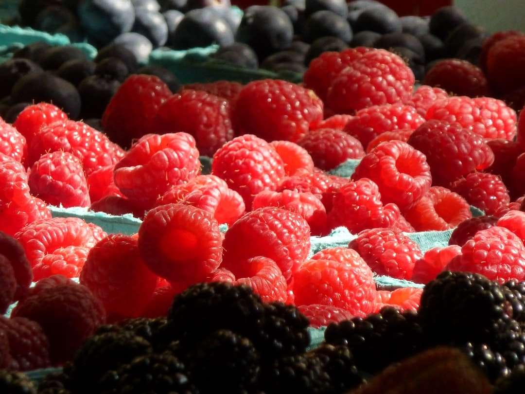 red raspberry fruits in tilt shift lens jigsaw puzzle online