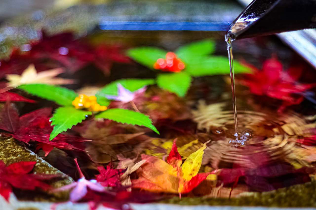 Bella foglie galleggianti puzzle online