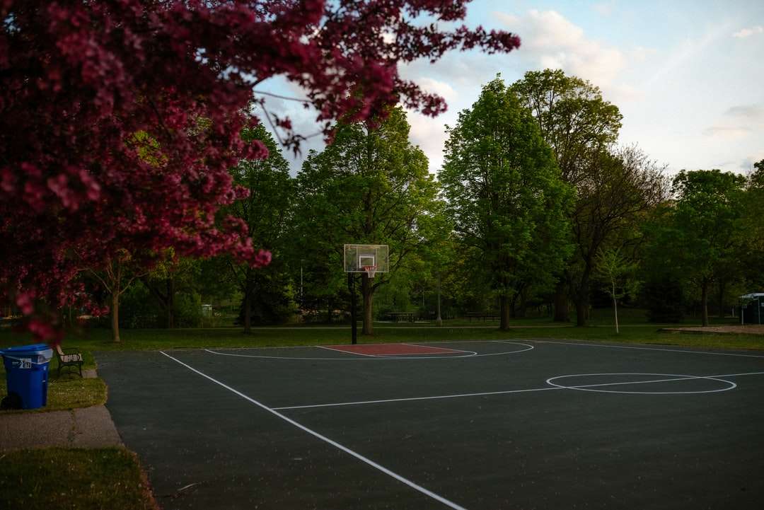 zwart-witte basketbalring in de buurt van groene bomen online puzzel