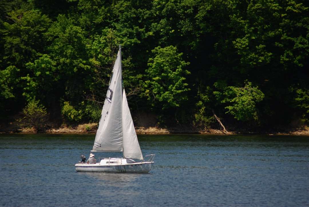 vit segelbåt på vattenkroppen under dagtid Pussel online
