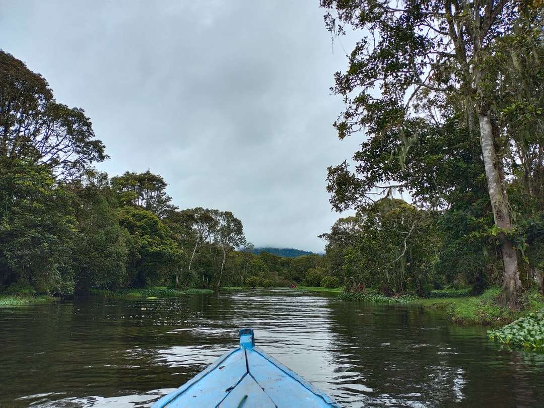blue boat on river near green trees during daytime online puzzle