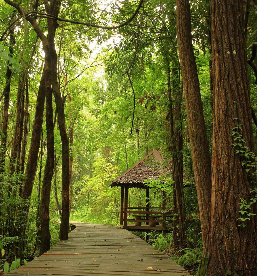 кафяв дървен мост в гората онлайн пъзел