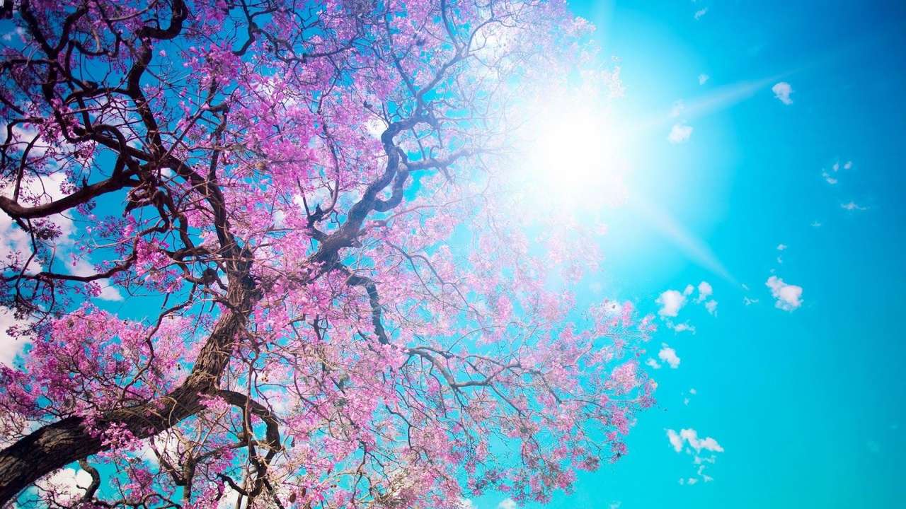 De boom met bloemen online puzzel
