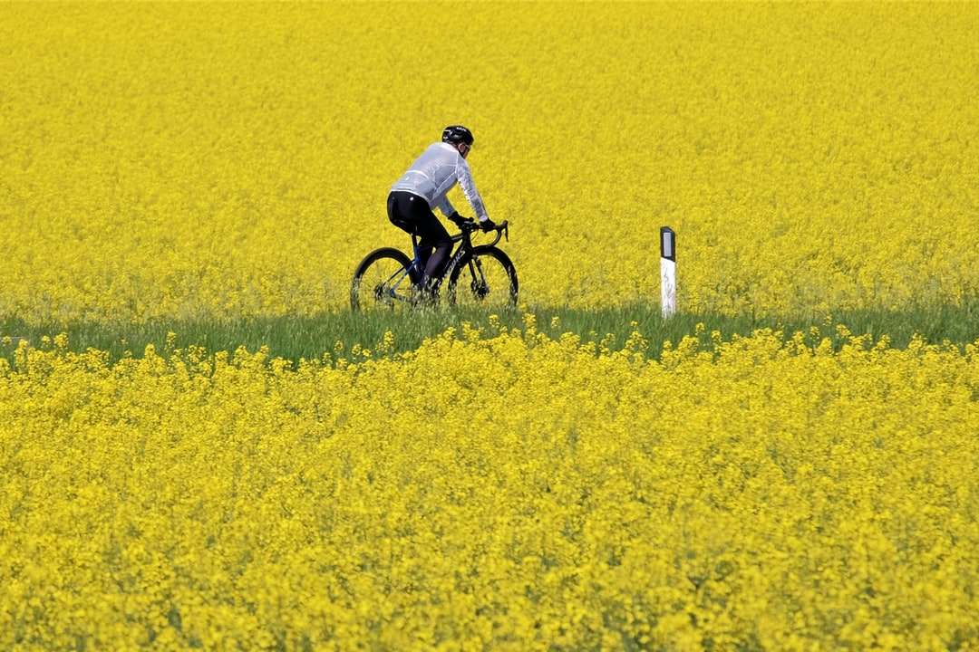 bărbat în cămașă albă care merge cu bicicleta pe câmpul de flori galbene jigsaw puzzle online