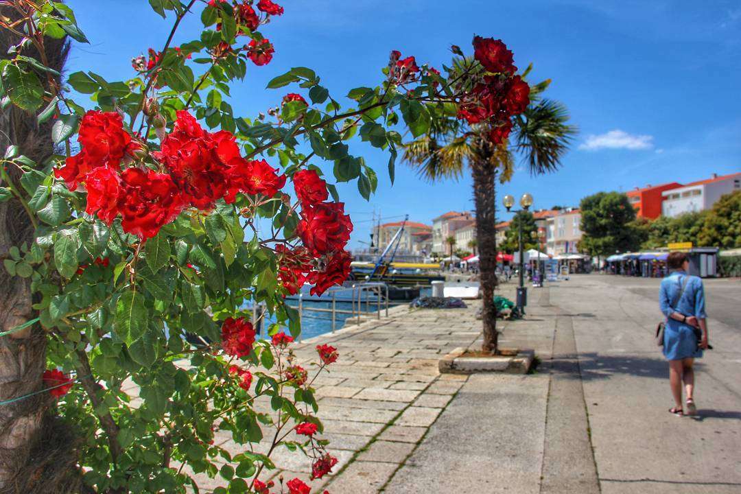 Istria - Kroatien pussel på nätet