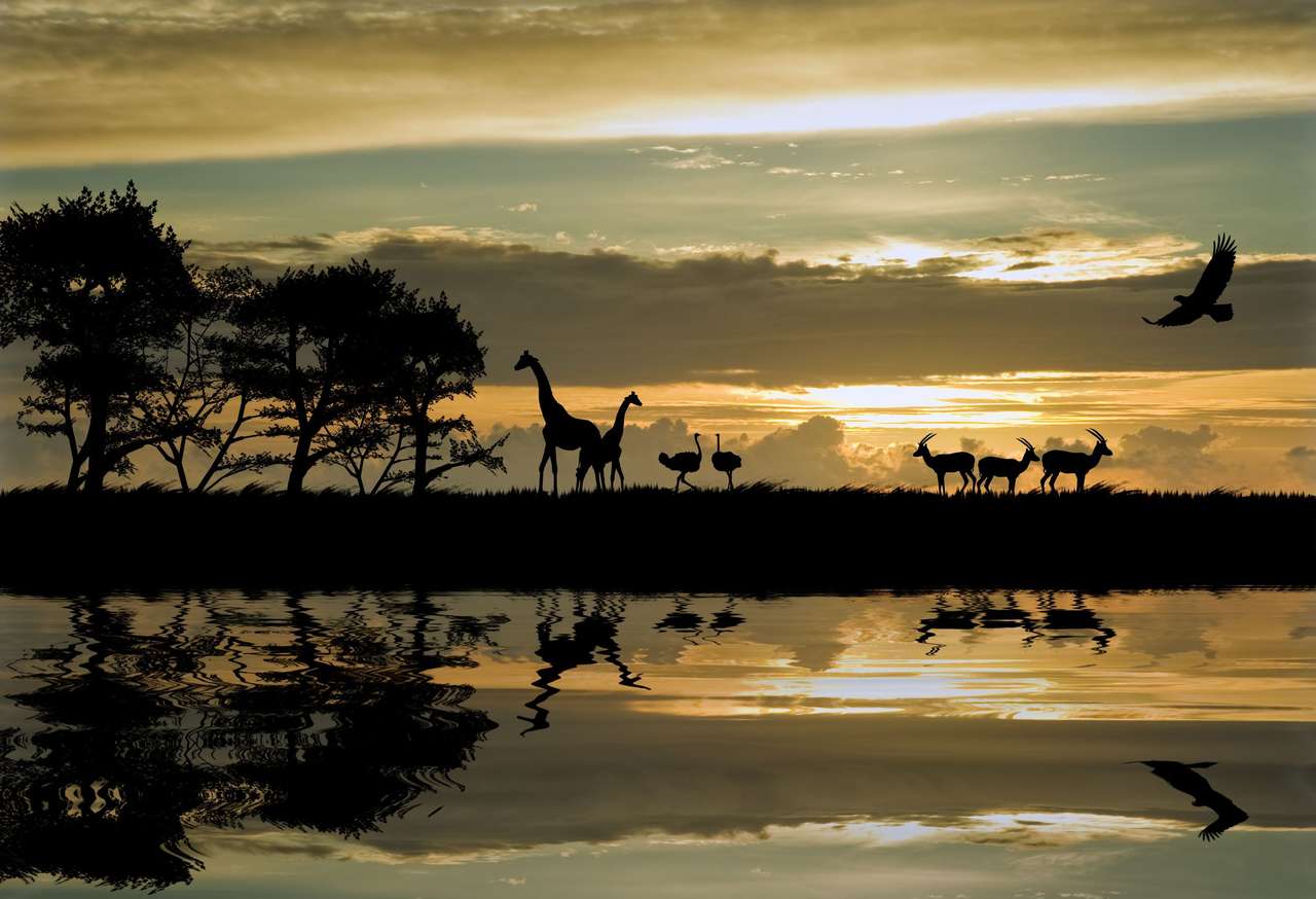 Afrika bei Sonnenuntergang. Puzzlespiel online