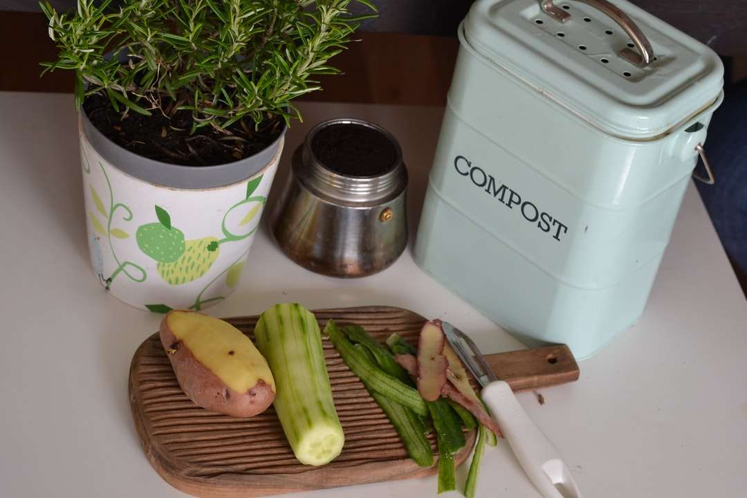 зелено растение на бял и лилав цветен керамичен съд онлайн пъзел
