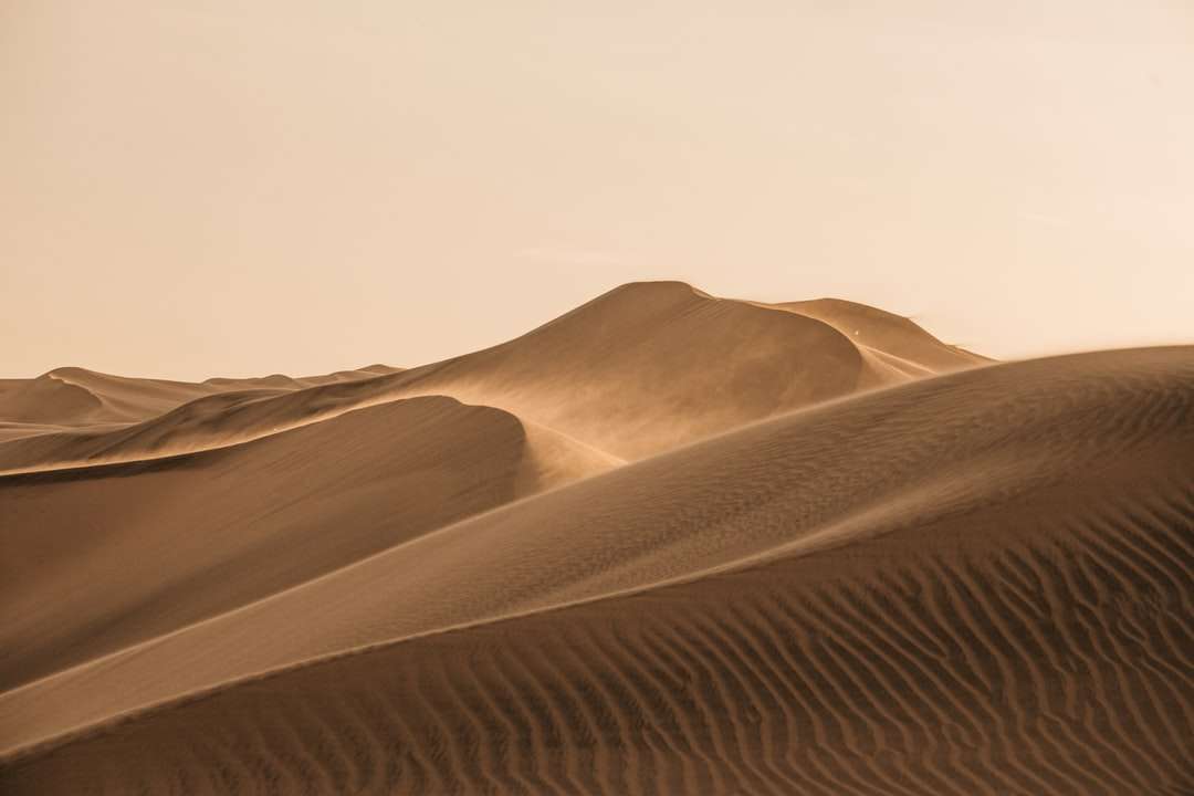 Dune di sabbia marrone sotto il cielo bianco durante il giorno puzzle online
