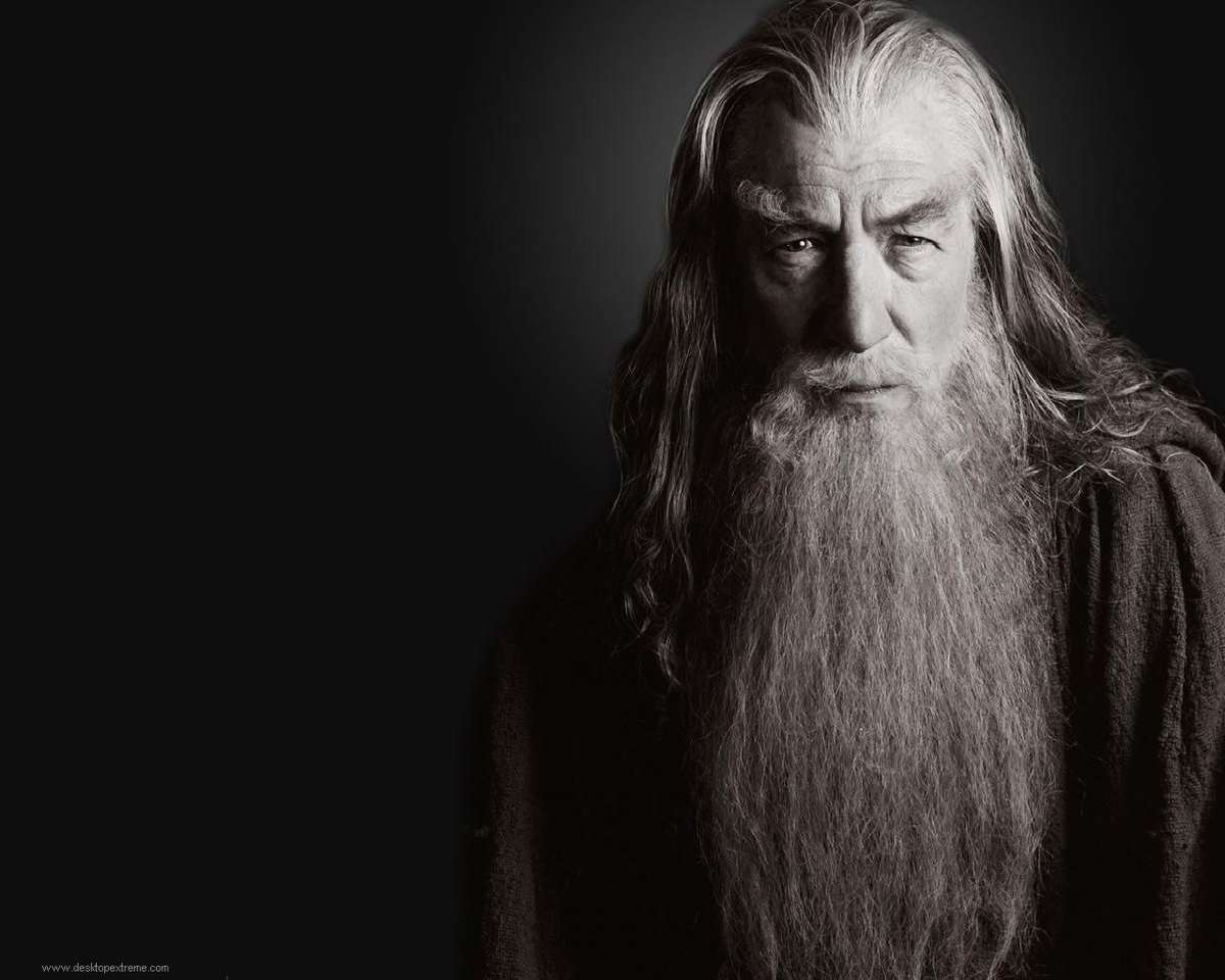 A gyűrűk ura: Gandalf kirakós online