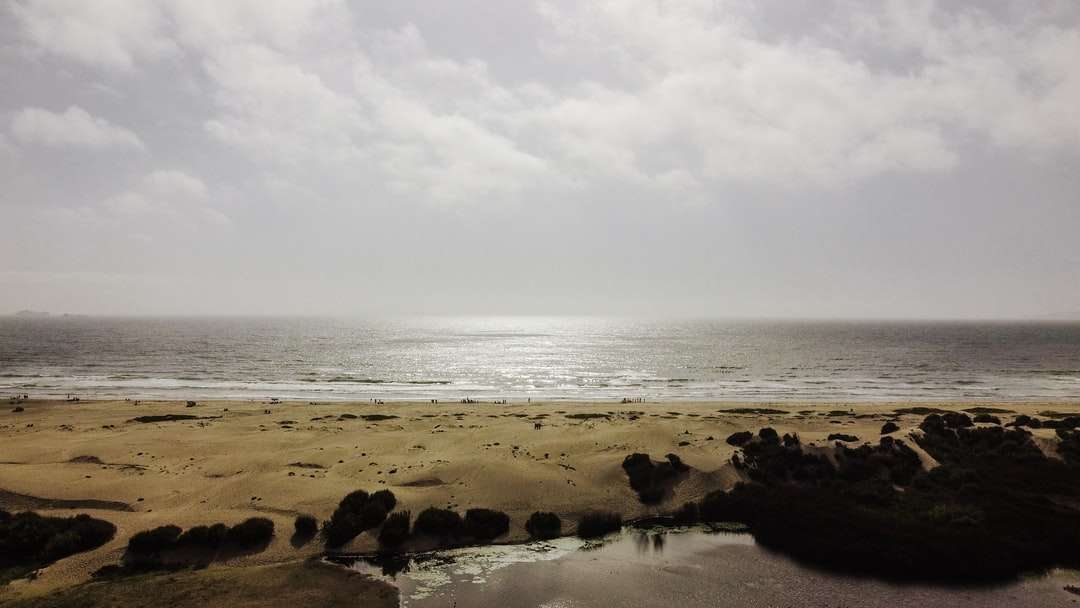 havsvågor kraschar på stranden under dagtid Pussel online