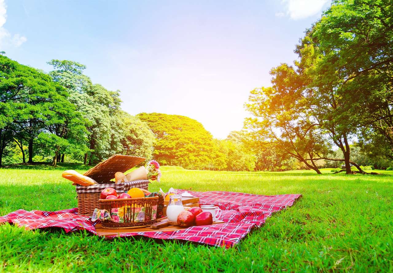 Piknik a réten kirakós online
