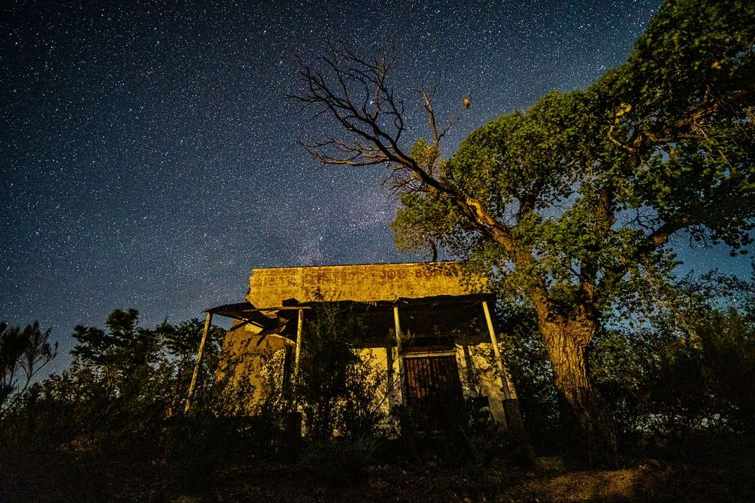 кафява дървена къща близо до зелени дървета през нощта онлайн пъзел