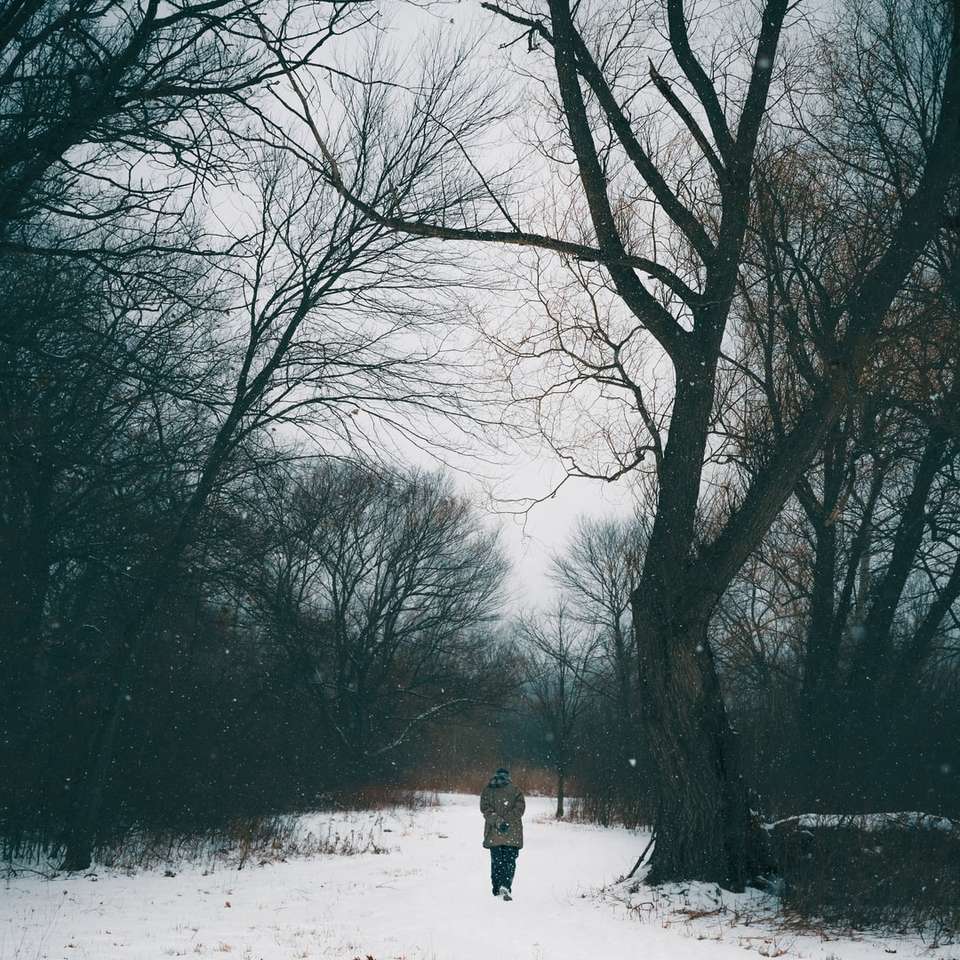 човек в черно яке, стоящ на покрит със сняг земята онлайн пъзел