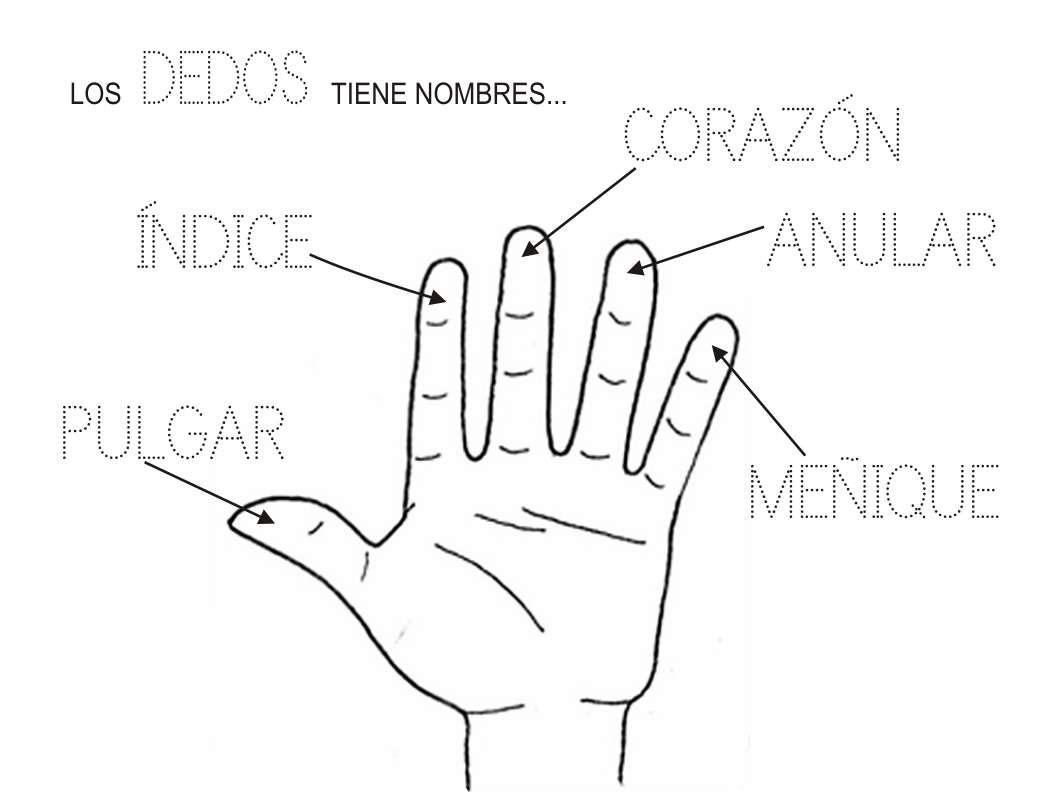 Руки - назви пальців онлайн пазл