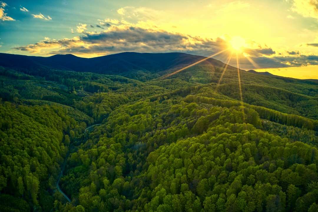 Alberi verdi sulla montagna sotto il cielo blu durante il giorno puzzle online
