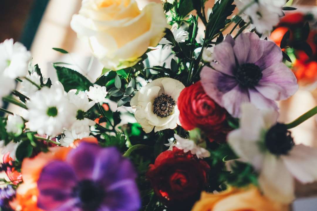 válogatott színű virágok online puzzle