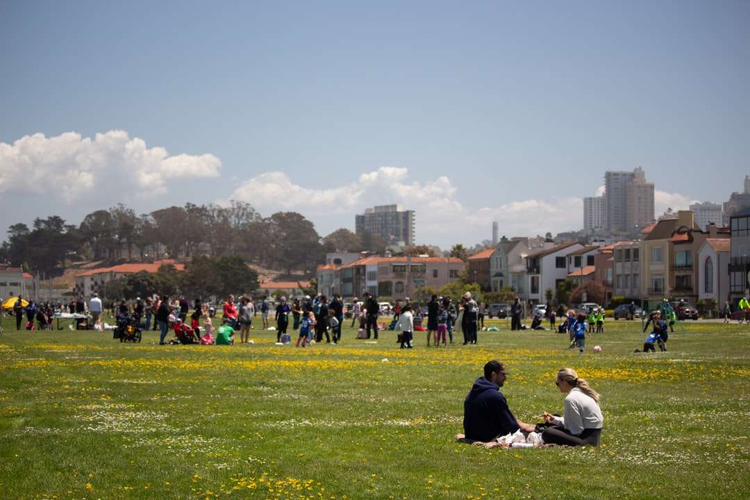хора, седящи на зелено трева по време на деня онлайн пъзел
