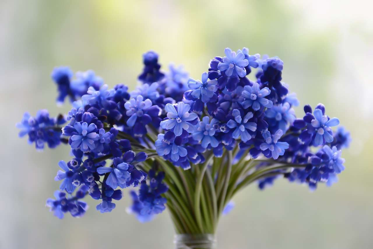 Flores azules rompecabezas en línea