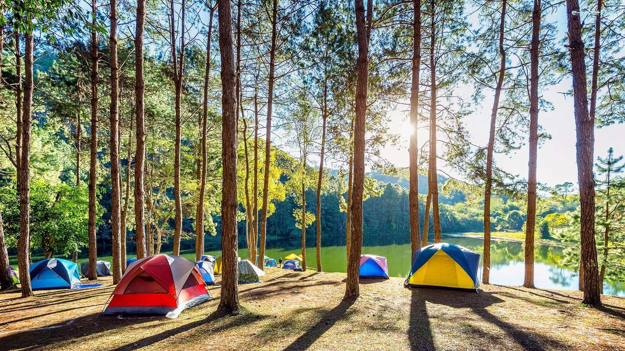 Campo de tenda no lago entre pinheiros puzzle online