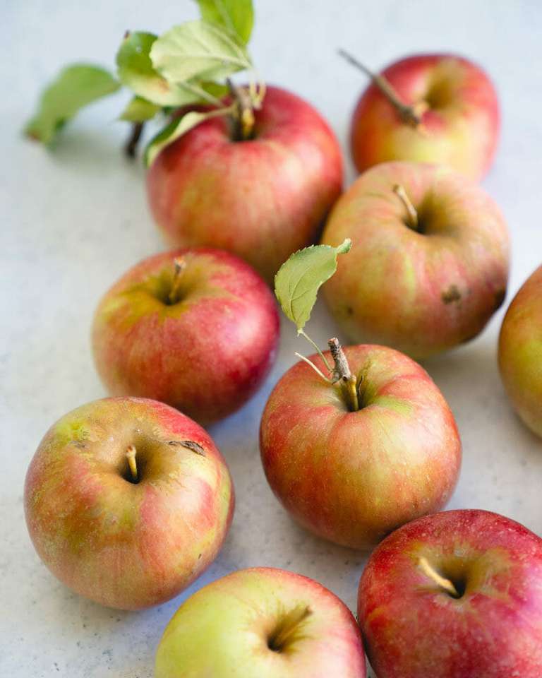 Äpfel von Obstgarten. Online-Puzzle