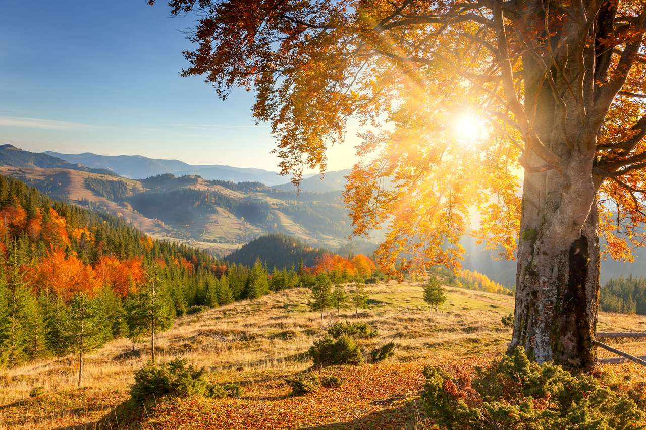 Ορεινή κοιλάδα το φθινόπωρο παζλ online