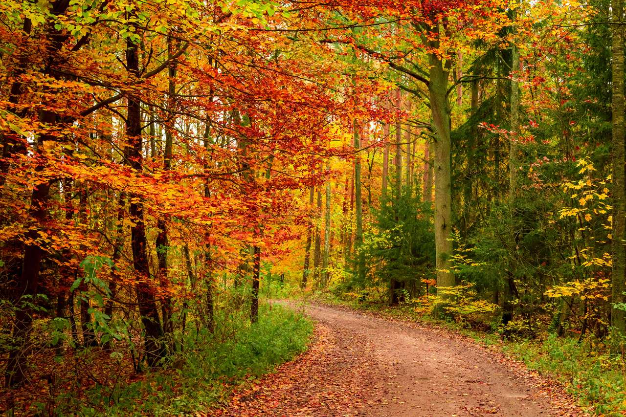 Есенна гора онлайн пъзел