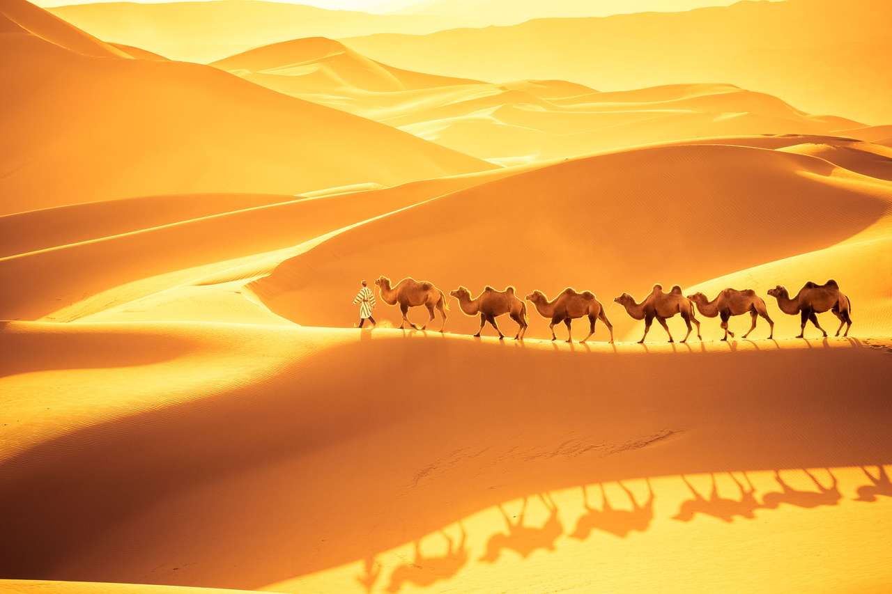 Песчаные дюны Сахары онлайн-пазл