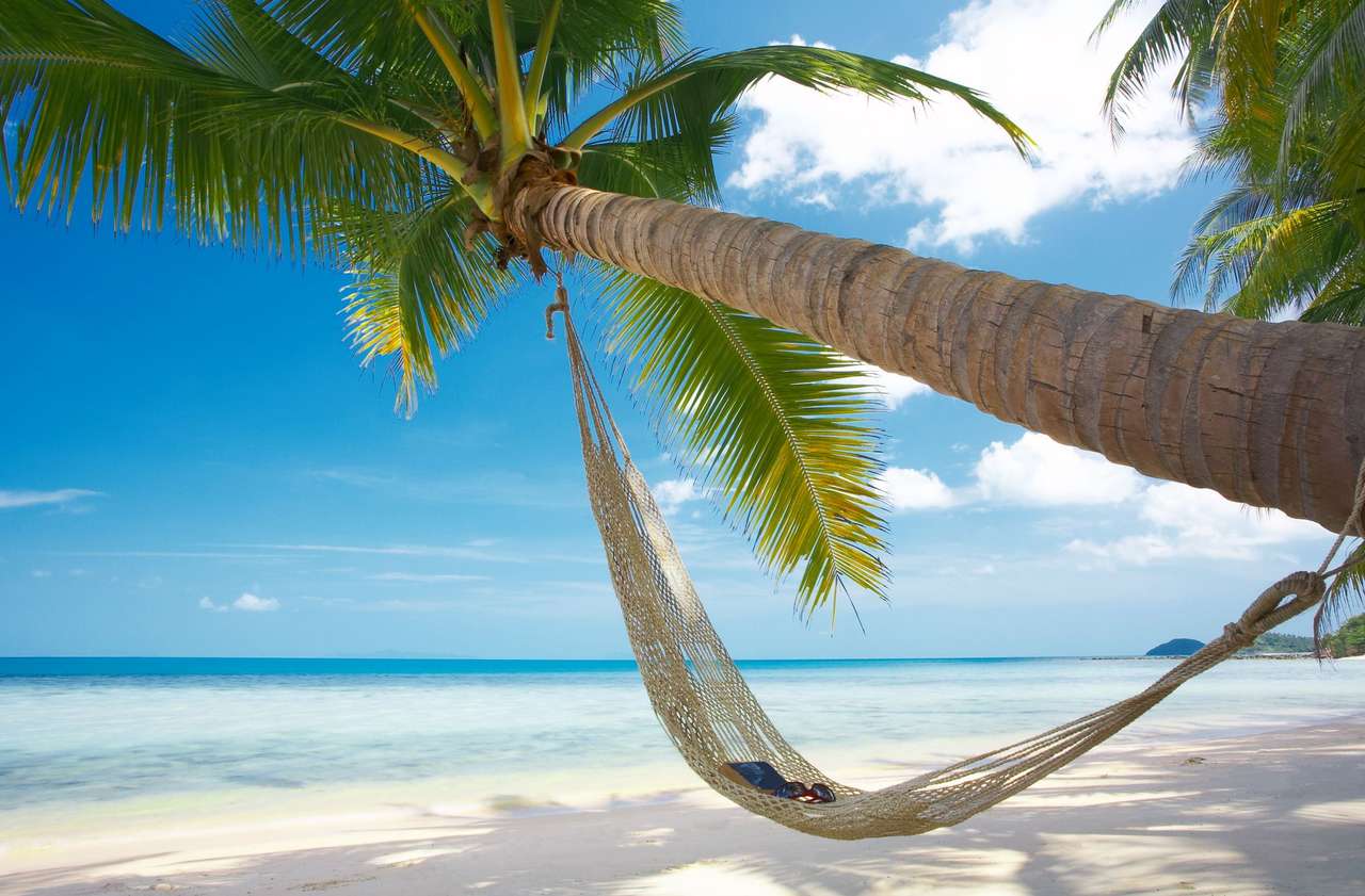 Hangmat op het Tropic Beach legpuzzel online