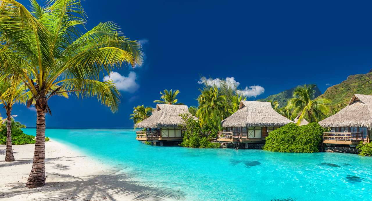 Playa tropical paraíso rompecabezas en línea