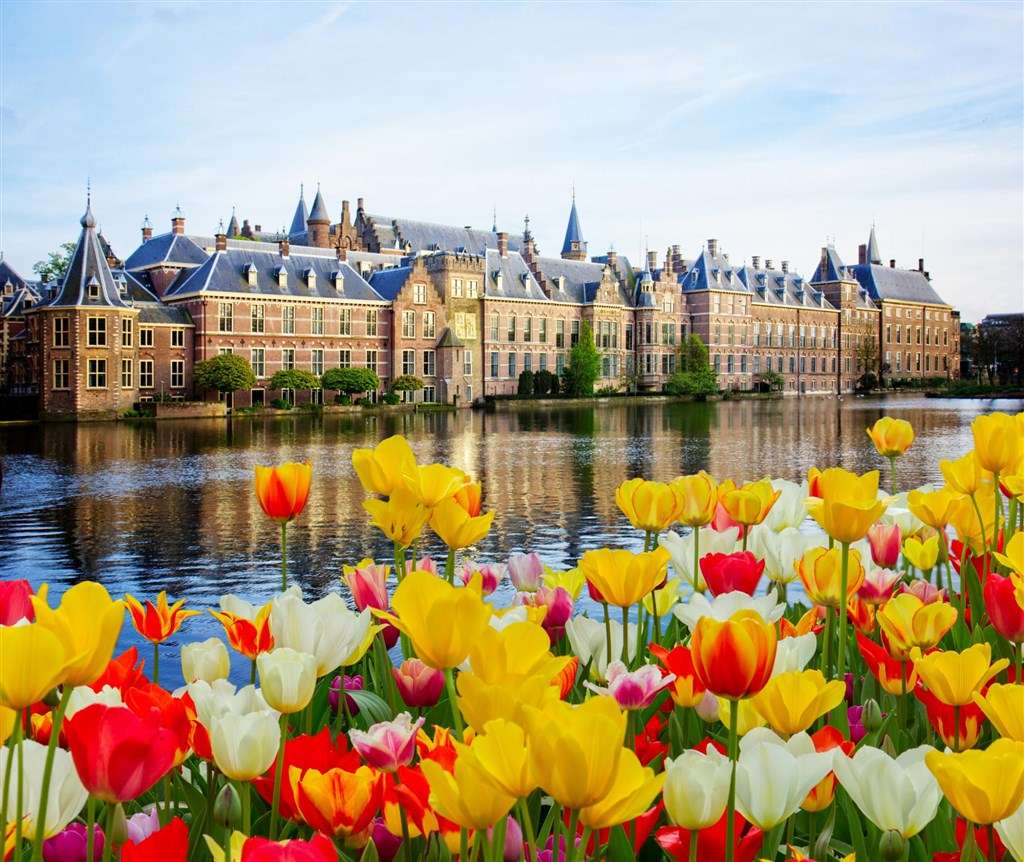 Netherlands famous for tulips online puzzle
