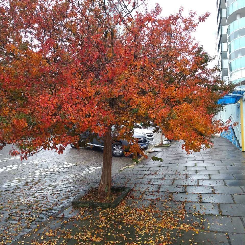 Herbst in Südkasten Online-Puzzle