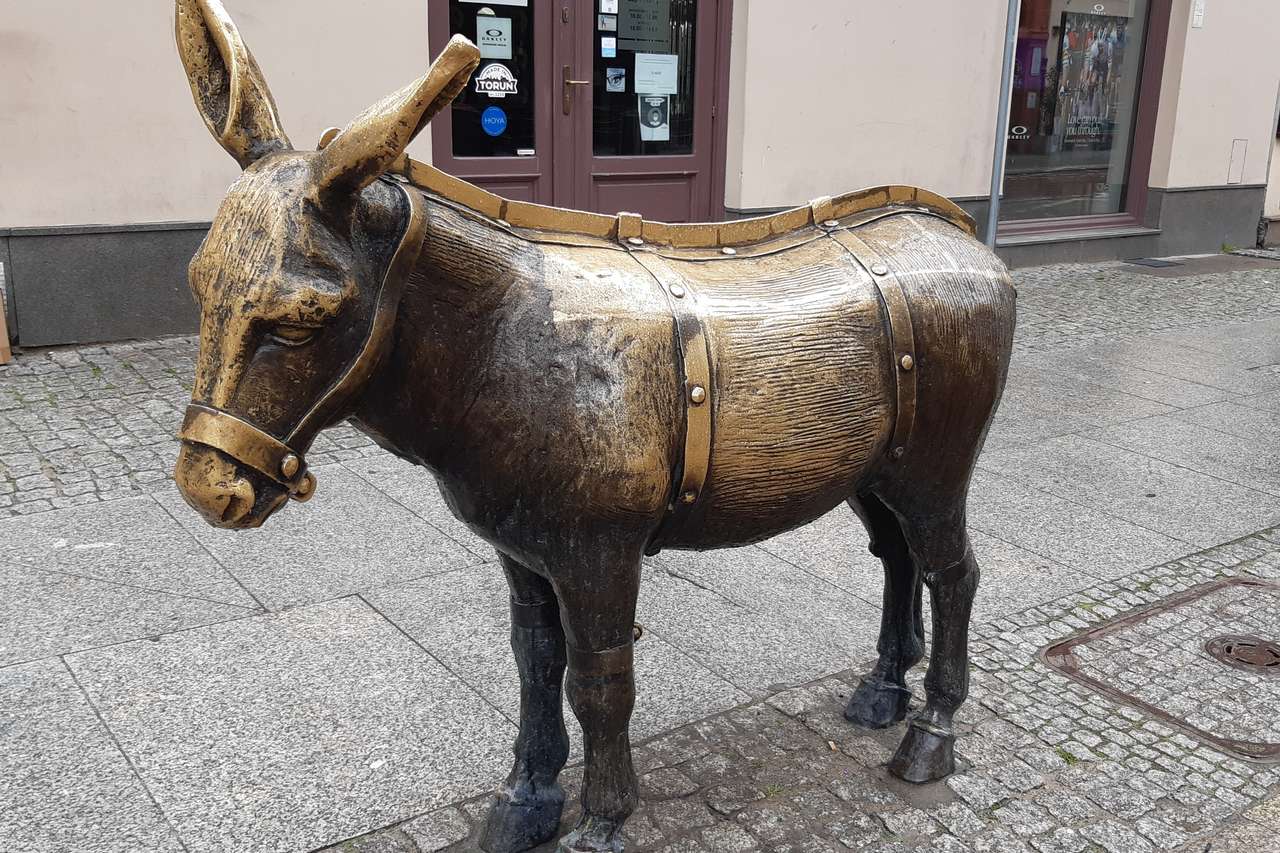 Esel auf der Straße in Torun Puzzlespiel online